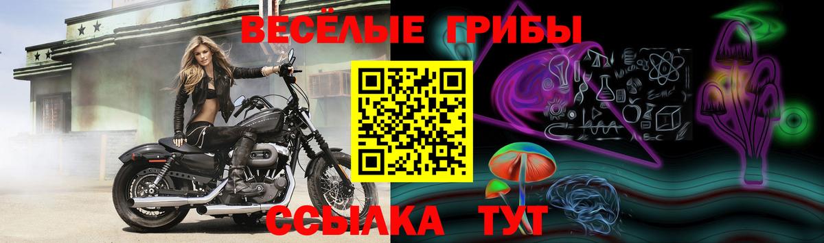 Псилоцибиновые грибы Psilocybine cubensis  Вход с VPN  Назарово  Галлюциногенные грибы Magic Shrooms 